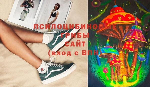 apvp Белокуриха