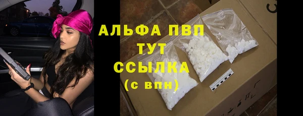apvp Белокуриха