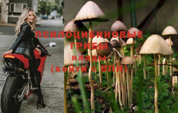 героин Беломорск