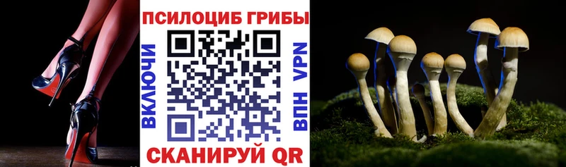 Псилоцибиновые грибы ЛСД  Качканар 